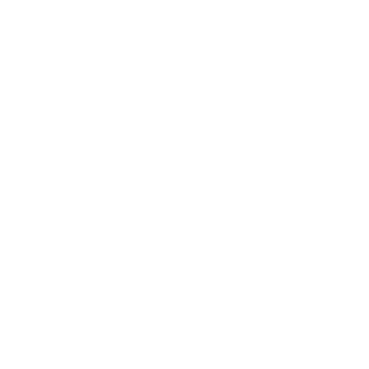 Values_icon_stroke-07.png