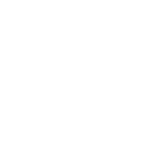 Values_icon_stroke-08.png